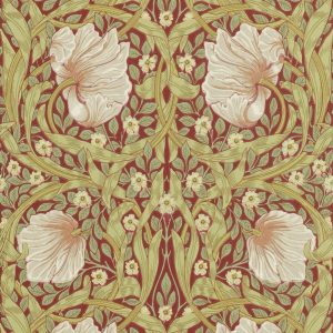 Pimpernel- Rhodera