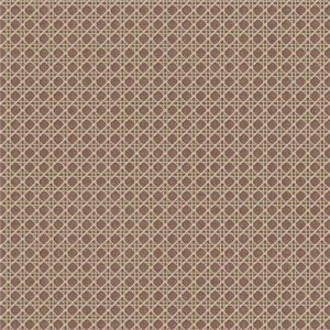 Borneo Rattan Rhodera