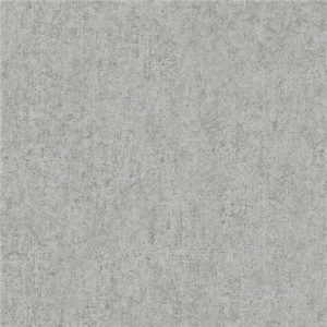 Samburu Plain Grey
