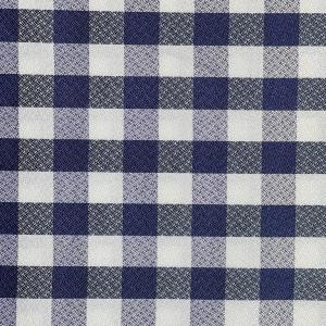 TELA CUADROS AZULONES