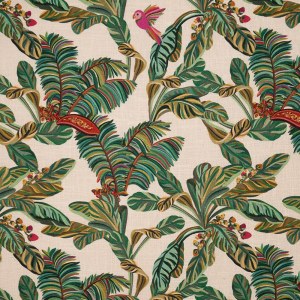 Lino Palmeras Thevenon11