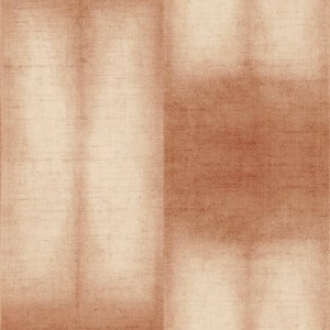 Tela Coordonné - Mokume Amber